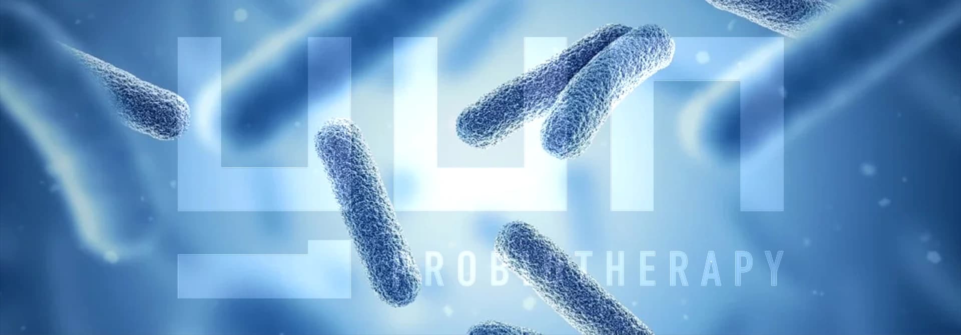 banner-2